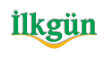 İlkgün